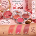 FACE COMPLEX | MAXI BLUSH + PENNELLO